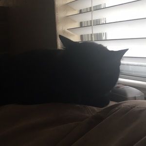 Meet your Posher, Timothy